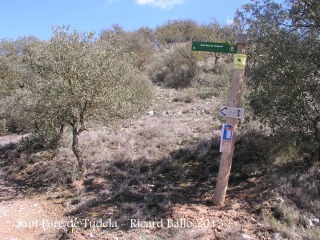 Església de Sant Pere de Tudela - recorregut - Camí a peu.