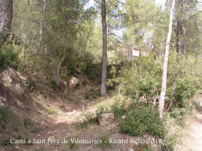 Camí a l'Església de Sant Pere de Vilamarics – Monistrol de Montserrat - Part final del recorregut - Inici camí poc fressat.