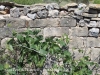 Església de Sant Pere del Pinetell – Montblanc - L'interior és pres per la vegetació, incloent-hi una figuera.  A destacar la qualitat d'aquest carreus.