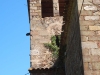 Església de Sant Pere Despuig – La Vall de Bianya
