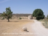 Església de Sant Pere Gros - Cervera.