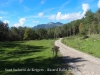 Església de Sant Sadurní de Rotgers - Borredà - Una vista del camí d'accés.