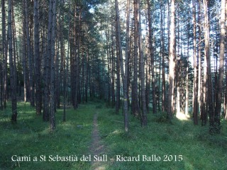 Camí a l'Església de Sant Sebastià del Sull – Saldes