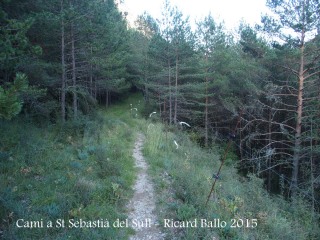 Camí a l'Església de Sant Sebastià del Sull – Saldes