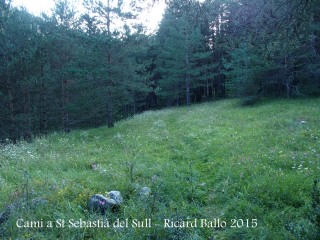 Camí a l'Església de Sant Sebastià del Sull – Saldes