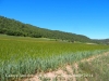 Església de Sant Serni de la Llena – Lladurs