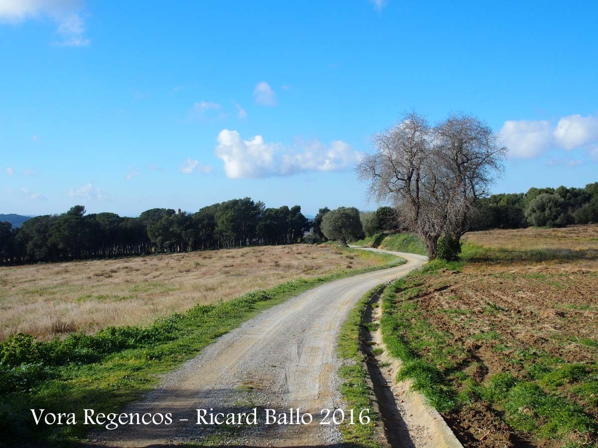 Paisatges a la vora de l'Església de Sant Vicenç de Regencós – Regencós