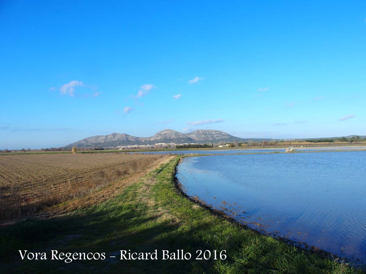 Paisatges a la vora de l'Església de Sant Vicenç de Regencós – Regencós. A la muntanya del mig hi apareix la silueta del Castell de Montgrí