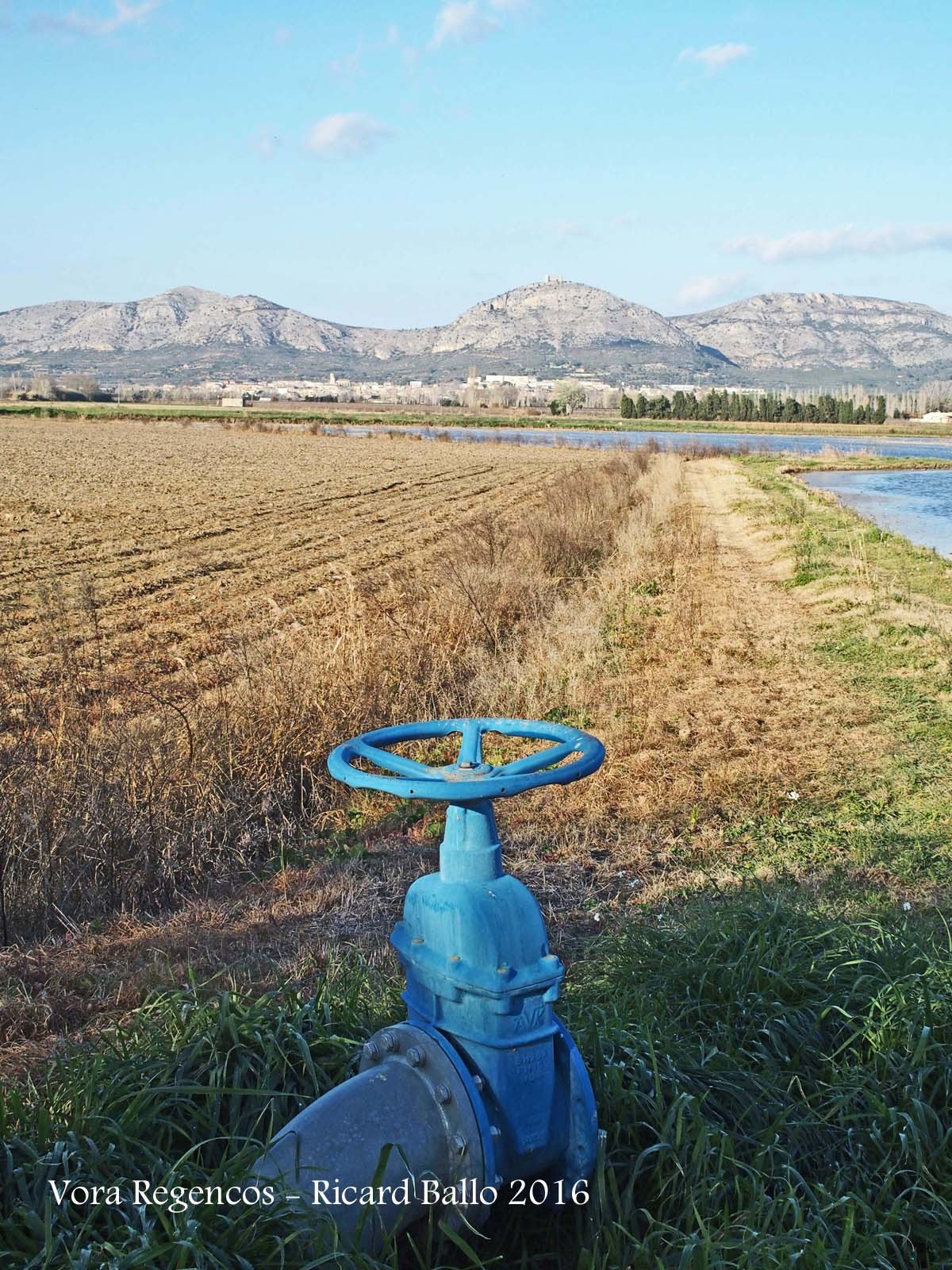 Paisatges a la vora de l'Església de Sant Vicenç de Regencós – Regencós. A la muntanya del mig hi apareix la silueta del Castell de Montgrí