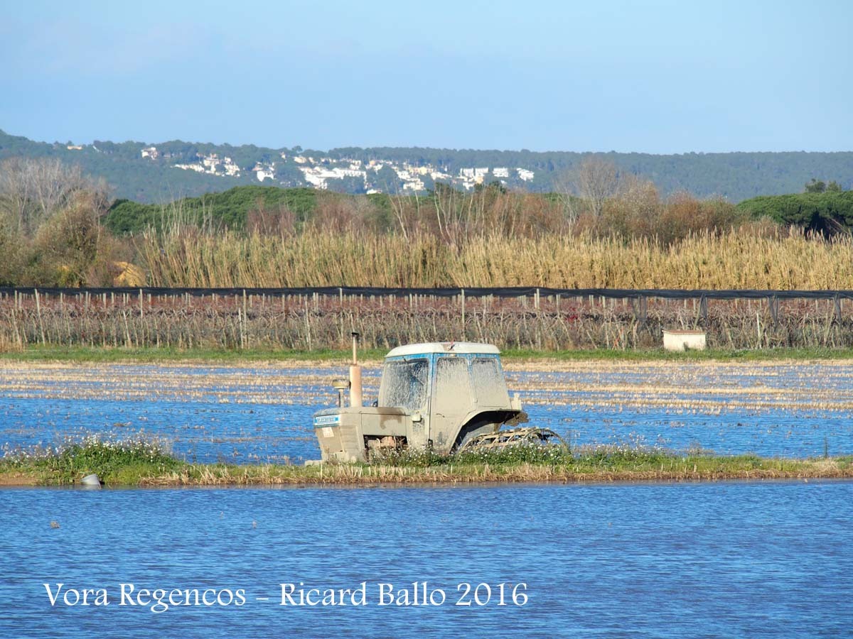 Paisatges a la vora de l'Església de Sant Vicenç de Regencós – Regencós