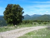 Vistes del camí a l'Església de Santa Bàrbara de Pruneres – Montagut i Oix