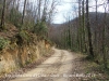 Camí a l'Església de Santa Creu d’Horta – Osor