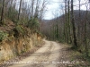 Camí a l'Església de Santa Creu d’Horta – Osor