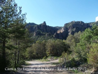 Camí a l\'Església de Santa Eugènia de la Mòra Comdal