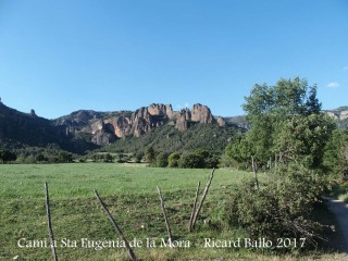 Camí a l\'Església de Santa Eugènia de la Mòra Comdal