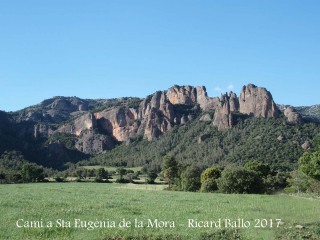 Camí a l\'Església de Santa Eugènia de la Mòra Comdal