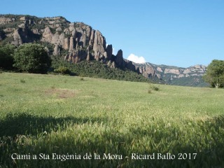 Camí a l\'Església de Santa Eugènia de la Mòra Comdal