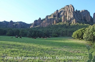 Camí a l\'Església de Santa Eugènia de la Mòra Comdal