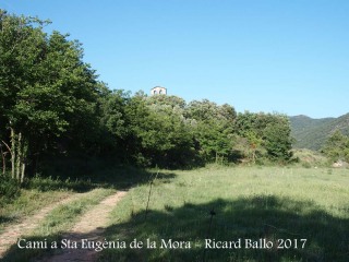 Camí a l\'Església de Santa Eugènia de la Mòra Comdal