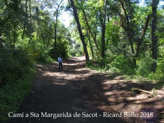 Camí a l'església de Santa Margarida de Sacot – Santa Pau