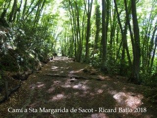 Camí a l'església de Santa Margarida de Sacot – Santa Pau