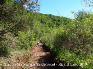 Camí a l'església de Santa Margarida de Sacot – Santa Pau