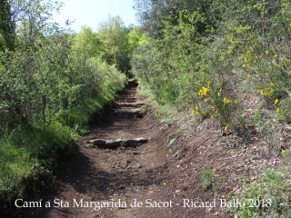 Camí a l'església de Santa Margarida de Sacot – Santa Pau