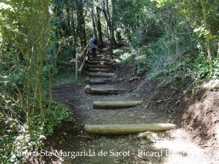 Camí a l'església de Santa Margarida de Sacot – Santa Pau