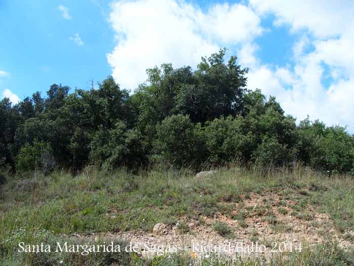 Església de Santa Margarida de Sagàs