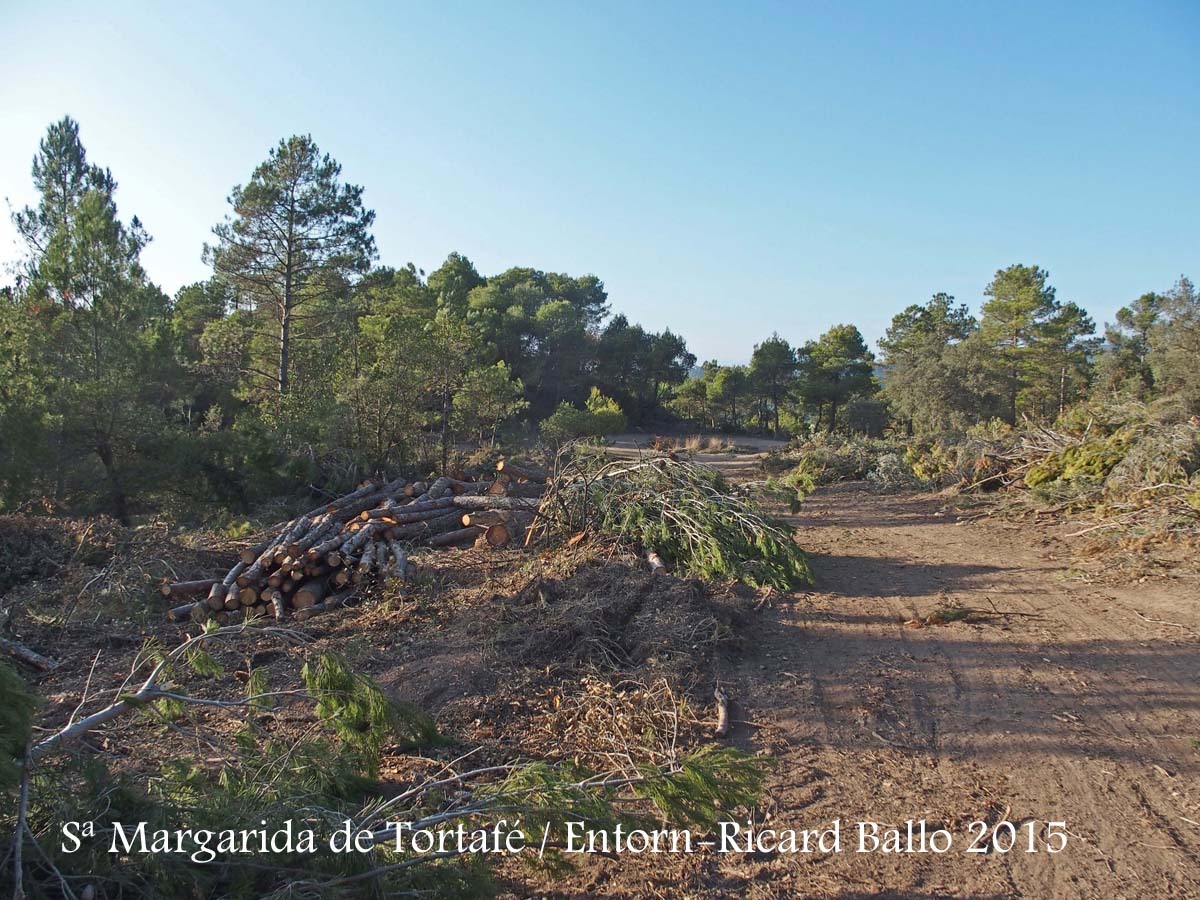 Església de Santa Margarida de Tortafé – Santa Maria de Merlès - Entorn