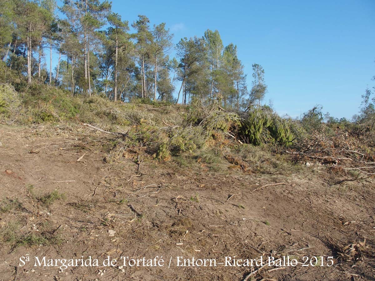 Església de Santa Margarida de Tortafé – Santa Maria de Merlès - Entorn