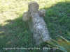 Església de Santa Maria de la Tossa - Estela funerària.