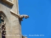 Església de Santa Maria de l'alba - La Seu - Manresa