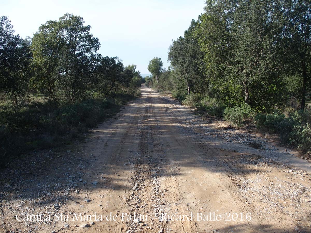 Camí a l\'Església de Santa Maria de Palau – Torroella de Montgrí