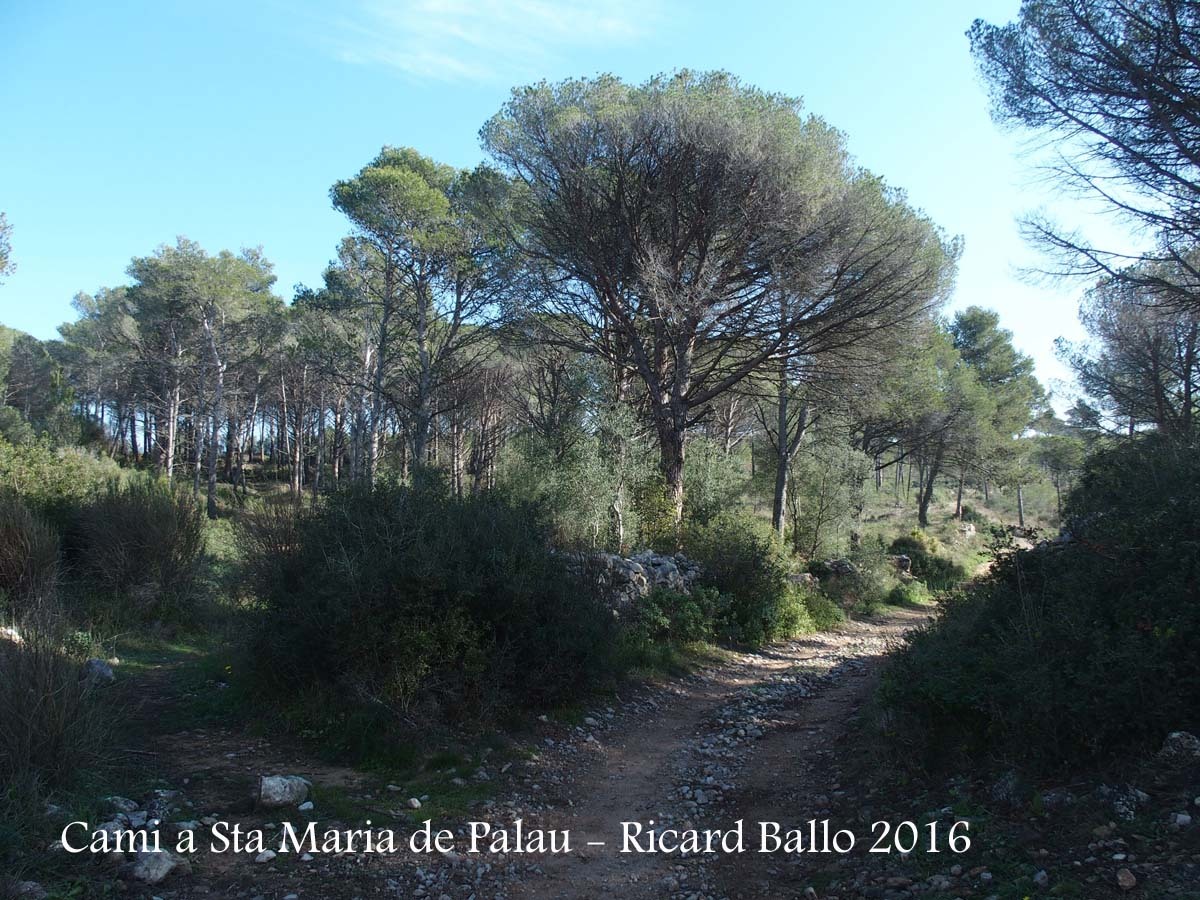 Camí a l\'Església de Santa Maria de Palau – Torroella de Montgrí