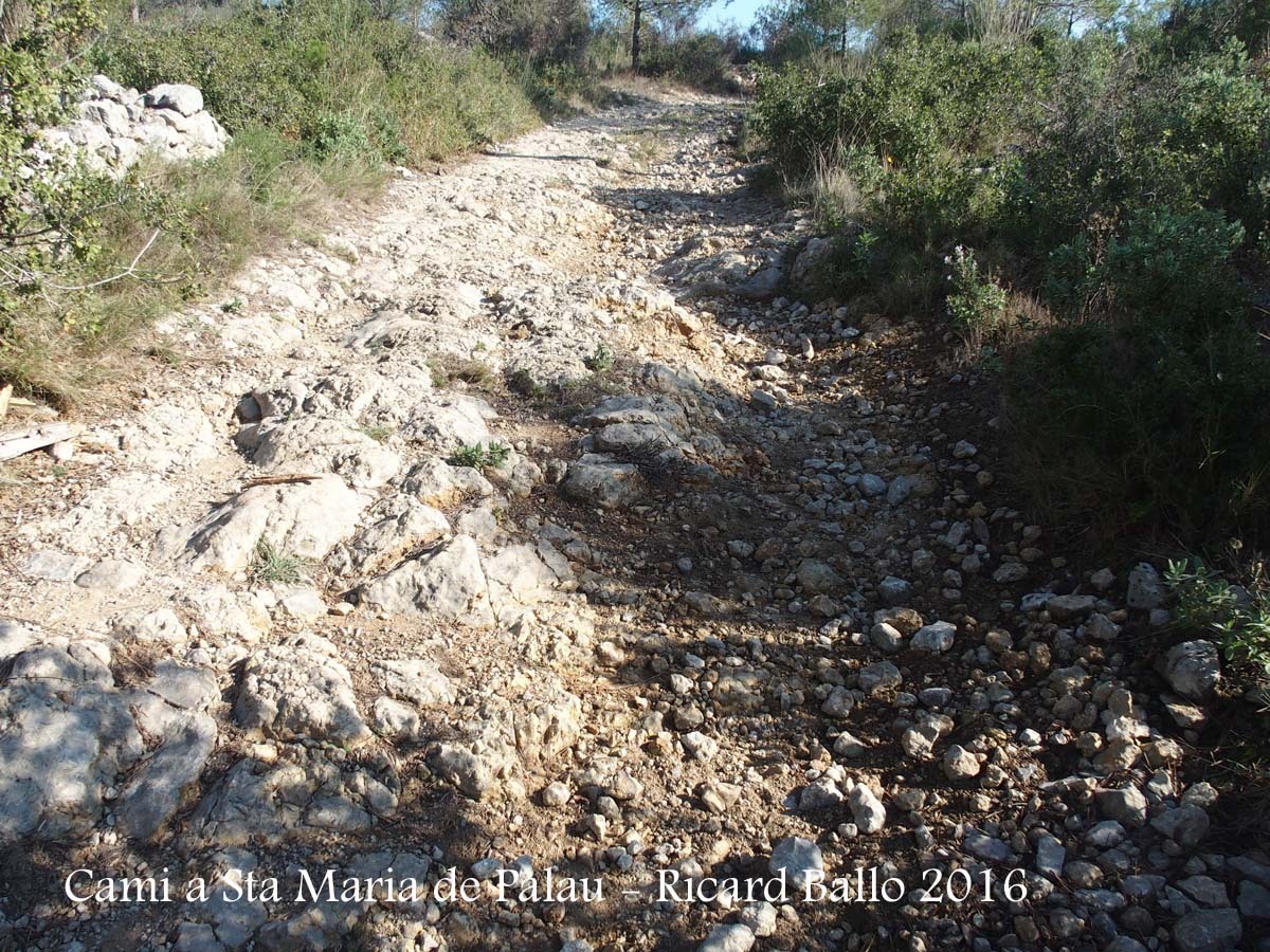 Camí a l\'Església de Santa Maria de Palau – Torroella de Montgrí