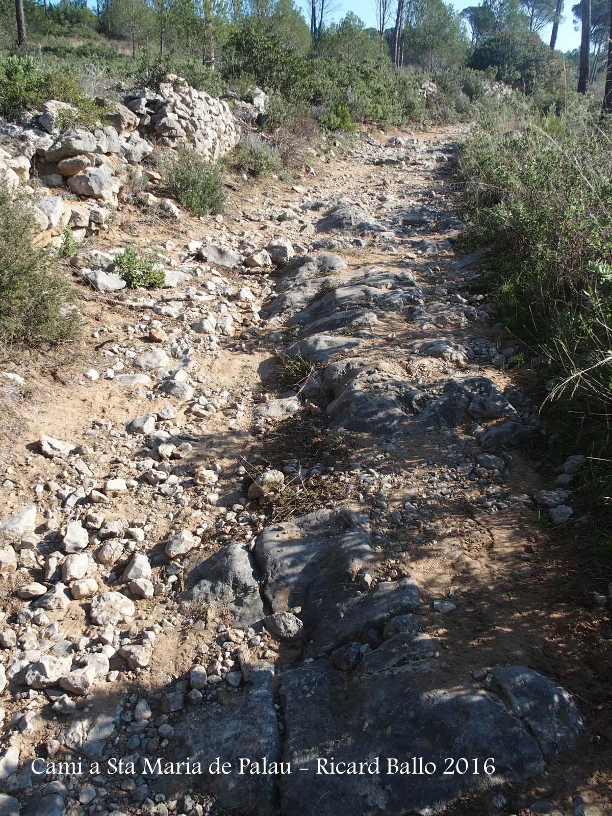 Camí a l\'Església de Santa Maria de Palau – Torroella de Montgrí