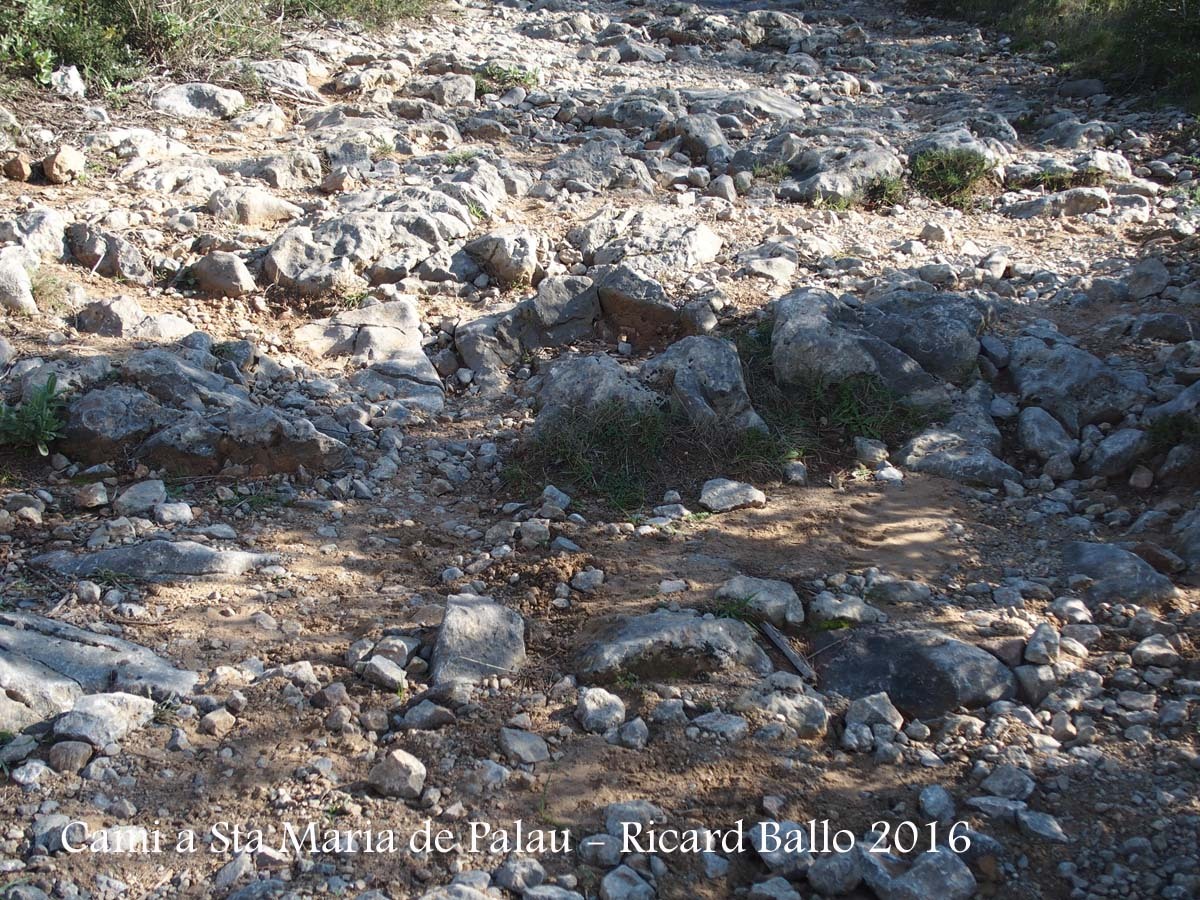Camí a l\'Església de Santa Maria de Palau – Torroella de Montgrí