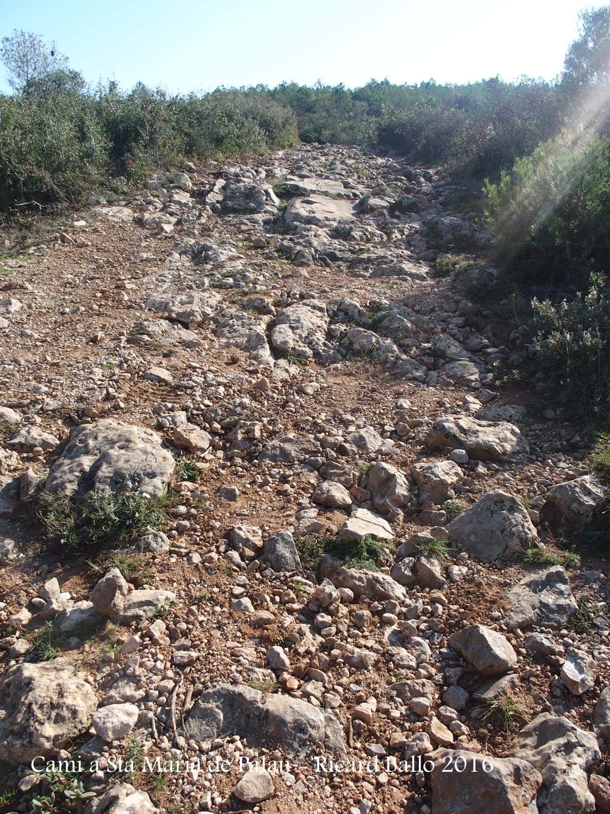 Camí a l\'Església de Santa Maria de Palau – Torroella de Montgrí