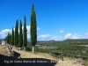 Vistes des de l'Església de Santa Maria de Solanes – Lladurs