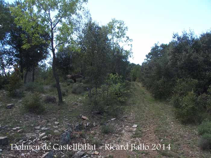 Camí d'accés al Dolmen de Castelltallat