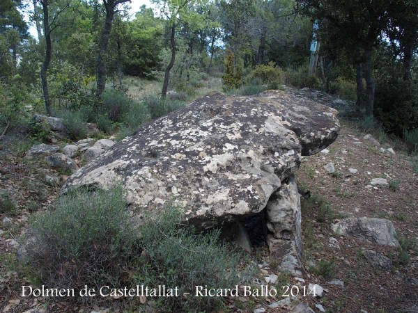Dolmen de Castelltallat