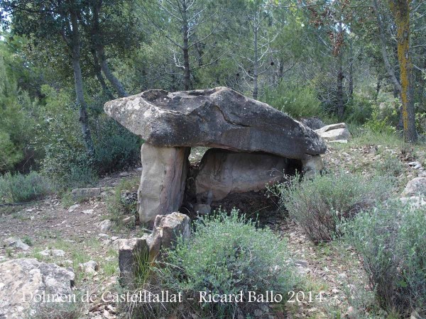 Dolmen de Castelltallat