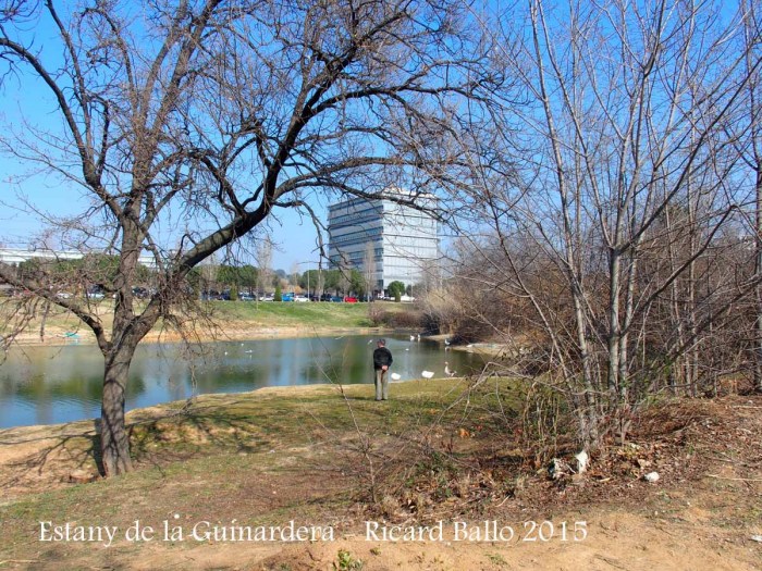 Estany de la Guinardera – Sant Cugat del Vallès