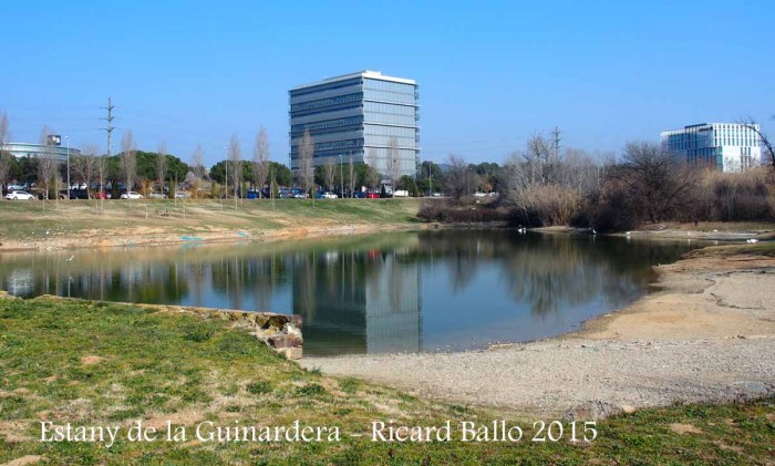 Estany de la Guinardera – Sant Cugat del Vallès