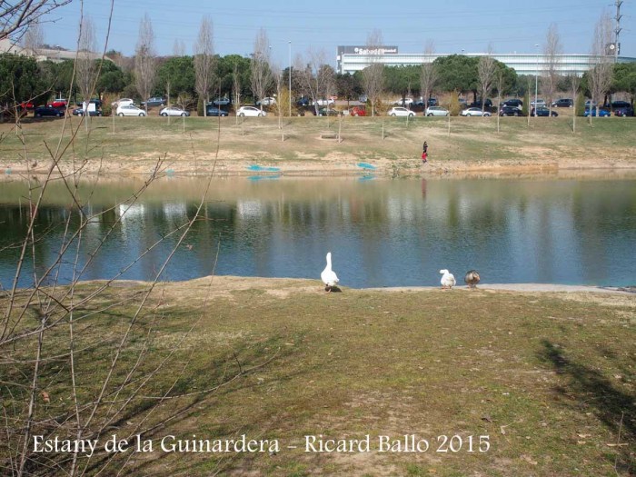 Estany de la Guinardera – Sant Cugat del Vallès