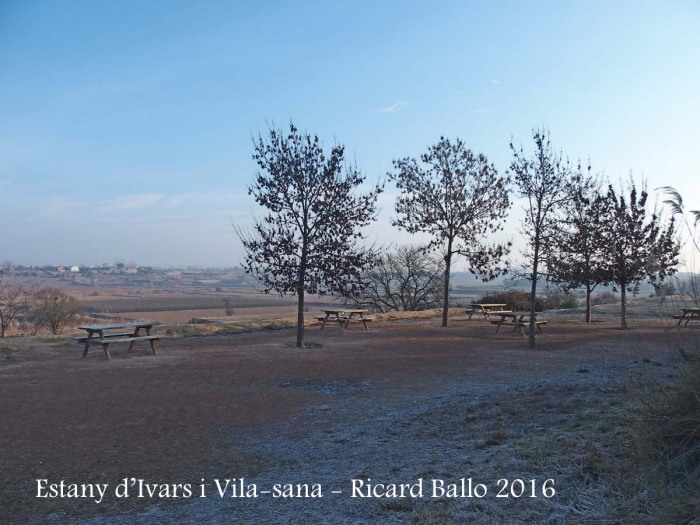 Estany d’Ivars i Vila-sana – Ivars d’Urgell i Vila-sana - Al terra, una mica entapissat de blanc ... és el que sembla: hi ha gebrada, com correspon en aquesta època de l'any.