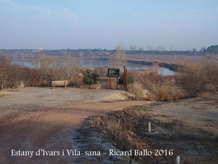 Estany d’Ivars i Vila-sana – Ivars d’Urgell i Vila-sana