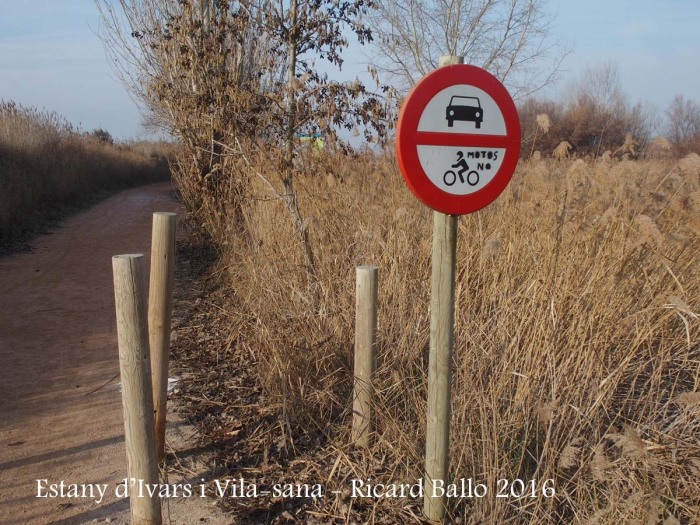 Estany d’Ivars i Vila-sana – Ivars d’Urgell i Vila-sana