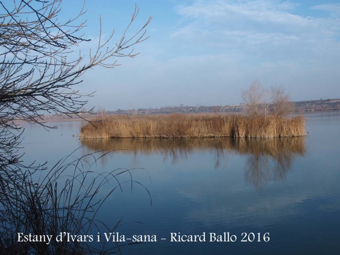 Estany d’Ivars i Vila-sana – Ivars d’Urgell i Vila-sana